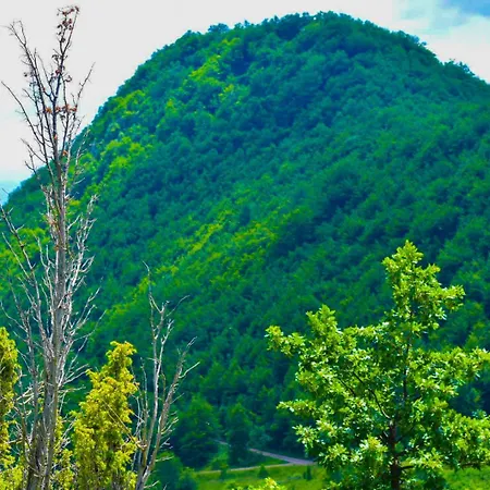 Villa Povlen 1979 - Mini Bar, Forest Open Cinema, Jacuzzi 15 April, Karaoke Villa *