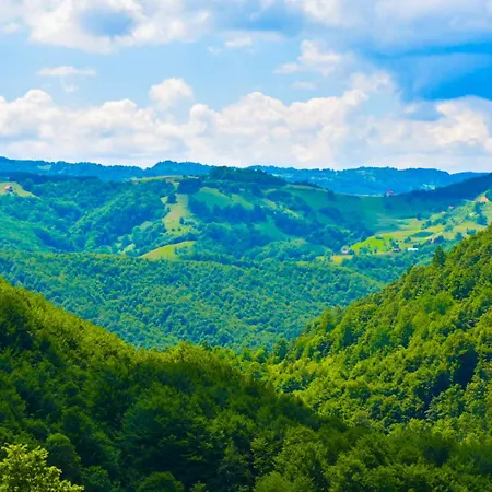 Villa Povlen 1979 - Mini Bar, Karaoke Sound System, Jacuzzi 15 April *