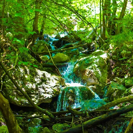 Villa Villa Povlen 1979 - Mini Bar, Forest Open Cinema, Jacuzzi 15 April, Karaoke