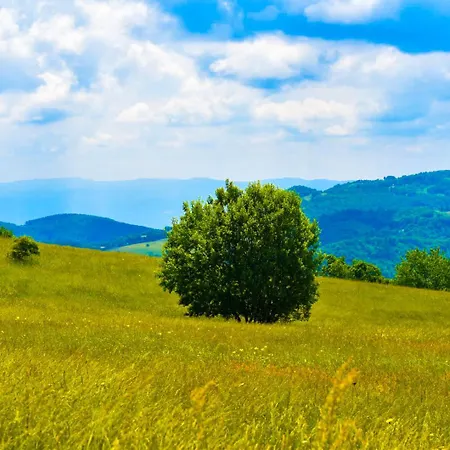 Villa Villa Povlen 1979 - Mini Bar, Forest Open Cinema, Jacuzzi 15 April, Karaoke