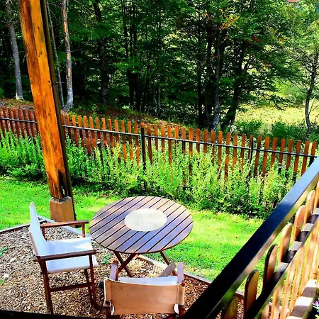 Villa Villa Povlen 1979 - Mini Bar, Forest Open Cinema, Jacuzzi 15 April, Karaoke *